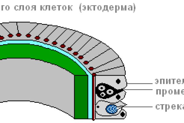 Как через тор браузер зайти в даркнет